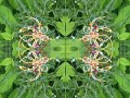 \"GIOIE FUTURISTE\" by corinna cadetto \"GIOIE FUTURISTE\" by corinna cadetto