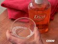How to Get Rid of Fruit Flies - CHOW