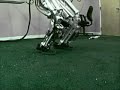 Dexter Jumps