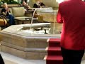Peabody Ducks Peabody Ducks