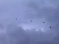 The China Synergy Programme for Outstanding Youth, attending the 10th Anniversary Celebrations in Hong Kong SAR.  The military parachuting from the sky holding flags as they come down. WOHW!