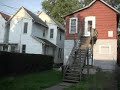 Американские белочки