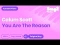 You Are The Reason (Piano Karaoke Instrumental) Calum Scott