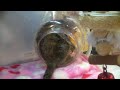 SANY0676.MP4
