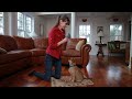 Teach a Puppy to Lie Down | Teacher
