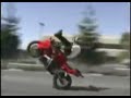 Balls, Stupidity, Or both?