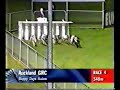 Dicey Secret - Race 1 No.7 (Black) Dicey Secret - Race 1 No.7 (Black)