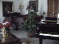 videos de LURCHIN