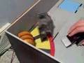 Robot Wars GR8  Heat A pt 1