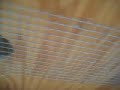 Play House Chicken Coop Interior