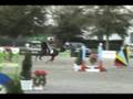 Jr/AO Jumper - Big Sir - For sale