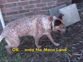 Charlie Daniels - On Patrol - 2nd September 2008