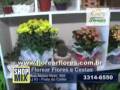 videos de .FLOREAR - Flores e Cestas (comercial).