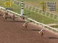 Big Brown - 2008 Florida Derby