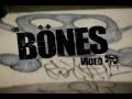 Alli Skate Videos - Jared Lucas Previews the Bones Wheels Skate Video