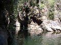 tine schwimmen gorge