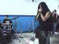 Amon Amarth - The Pursuit of Vikings (Cover)
