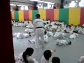 tae kwan do