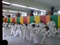 tae kwan do