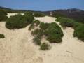 videos de Tom's Mad Ass Dune Jumping at One Mile
