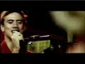 Planta & Raiz - com certeza Planta & Raiz - com certeza