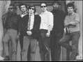 PAUL BUTTERFIELD BLUES BAND BORN IN CHICAGO LIVE 66