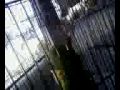 Cell phone files 020.3g2