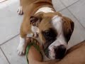 ZENNA E KING
