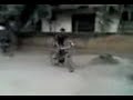 fantastic wheely