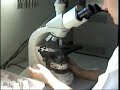 Repovoamento de Caranguejo - Parte 1 Repovoamento de Caranguejo - Parte 1