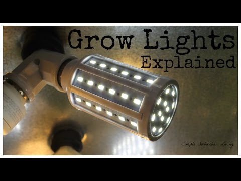 how to measure light intensity