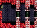 the 6th stage is a real pain in the ass, it's the hardest stage of the game. especially if you die and loose your powerups! it's this stage that prevent most players from finishing the game, even with the unlimited continues and checkpoints. the 7th stage consist basicaly of an escape route, like at the end of life force (salamander) or metroid. it's an easy ride considering the stage you just finished!