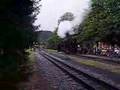 SOEG Steamloks in Kurort Jonsdorf (Germany)