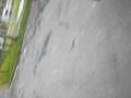 videos de LoOoL