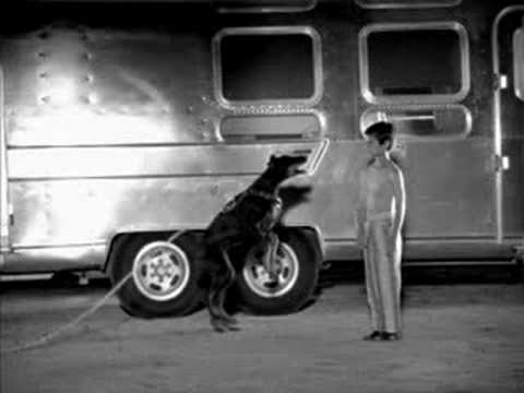 Image de prévisualisation YouTube