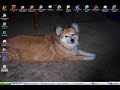 How To Make Fake Windows Error Messages Using Notepad!