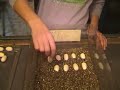 Removing eggs from Indian Cobra cage at KRZ