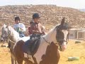 Turmusayya  Equestrian Club 2