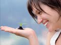 Mensagem Ambiental