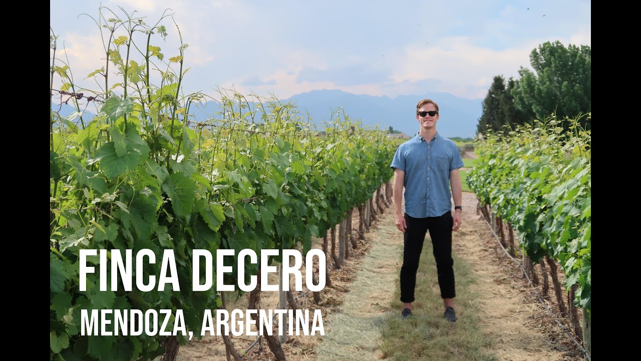An Argentinian Winery | Finca Decero