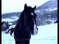 you-had-me-from-hello-a-jumping-video.html