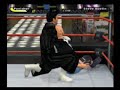 Punisher vs. Steve Austin
