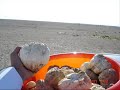 فقع  قطر وصور بر وبحر