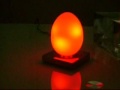 MY EGG
