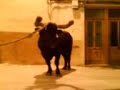 MOV00082.3GP