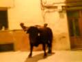 videos de MOV00082.3GP