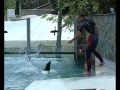 Sóstó ZOO, Nyíregyháza, Hungary