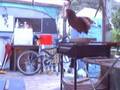 Morning-Chook