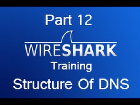 how to locate dns query in wireshark