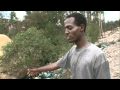 Ethiopia: Akaki river runs red, blue, sometimes yellow
